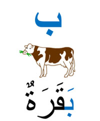 be vache en arabe