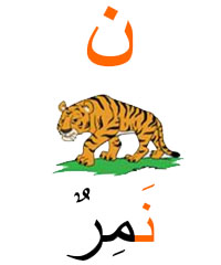 namiroun tigre en arabe