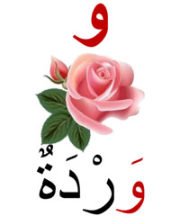 wardatou rose en arabe