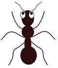 fourmi en arabe