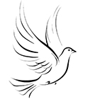 pigeon en arabe
