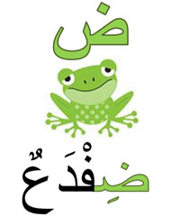 dhifda'oun grnouille en arabe