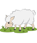 mouton en arabe